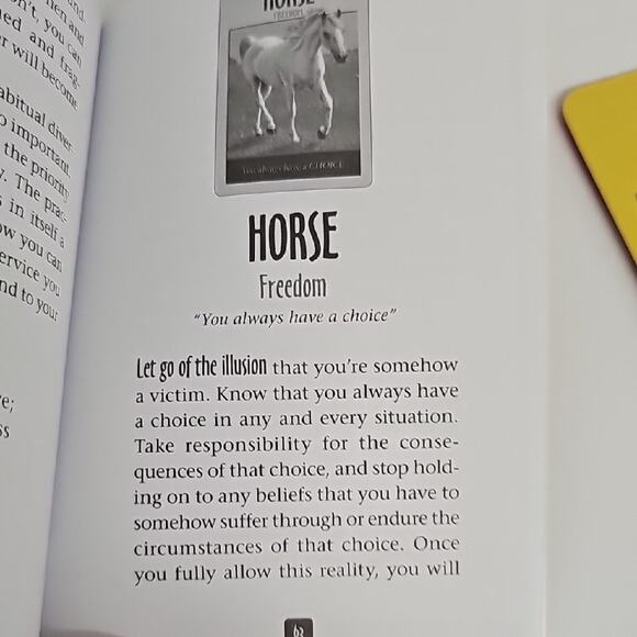 Steven D. Farmer Ph. D. Power Animal Oracle Cards Guidance from Animal Spirit - Picture 5 of 6